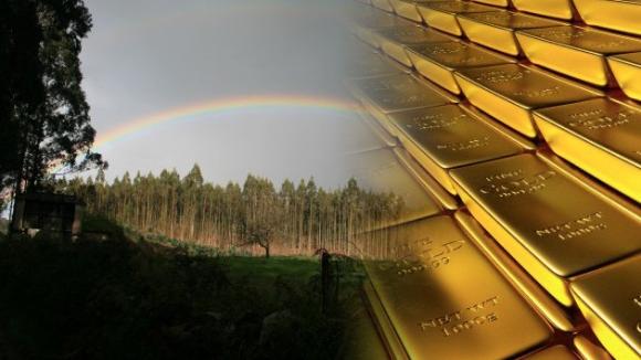 Dos buscadores de setas españoles descubren una mina de oro romana