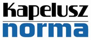 Denuncian a Editorial Kapelusz por engaño y apología del delito