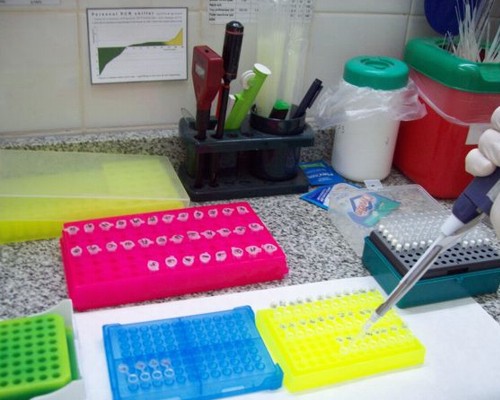 Científicos Argentinos logran la detección simultánea y rápida de patógenos en alimentos