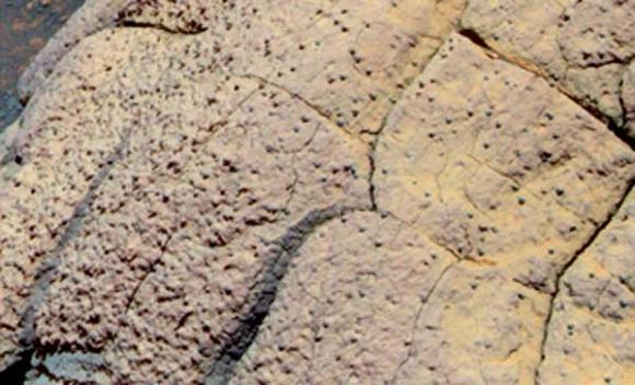 Roca de Marte revela posible vida del pasado