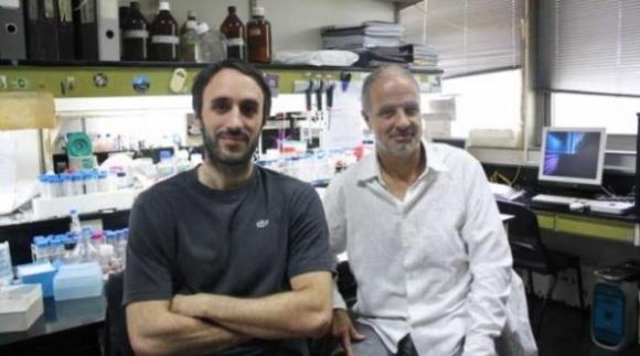 Investigadores Argentinos logran avances en los antivirales contra la bronquiolitis