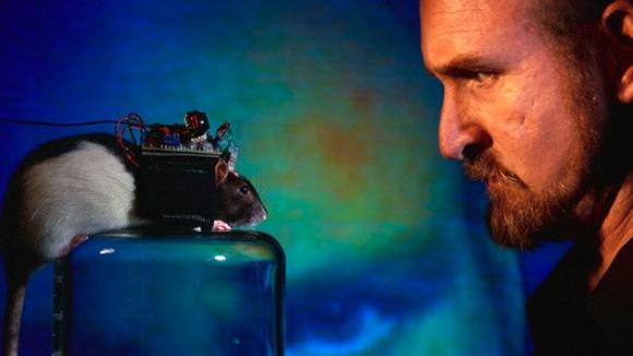 Elaboran un interfaz telepático capaz de manipular a seres vivos