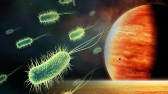 Hallado un nuevo microorganismo capaz de respirar en la atmósfera tóxica de Marte