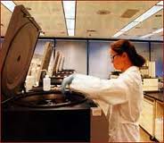 Francia: Se mantiene la prohibición de investigar con el embrión humano