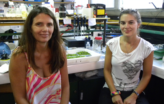 Cientificas Argentinas descubren que las plantas también se protegen‏ de la radiación solar