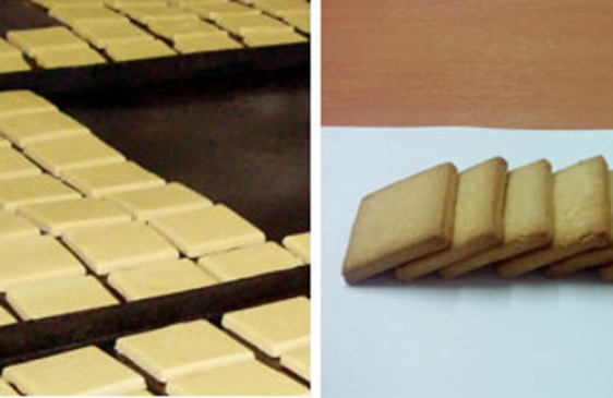 Investigadores Argentinos desarrollan un alimento para situaciones de emergencia