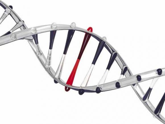 Científicos Argentinos buscan prevenir sorderas con estudios genéticos