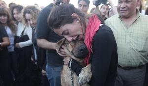Emotivo reencuentro con más de 20 mascotas perdidas