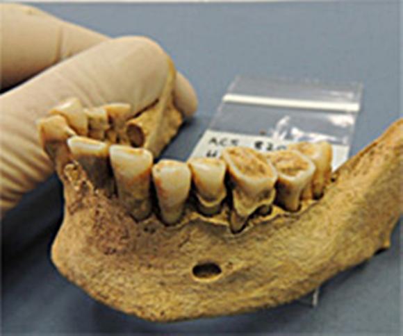 ADN de los europeos cambió drásticamente hace 4.500 años