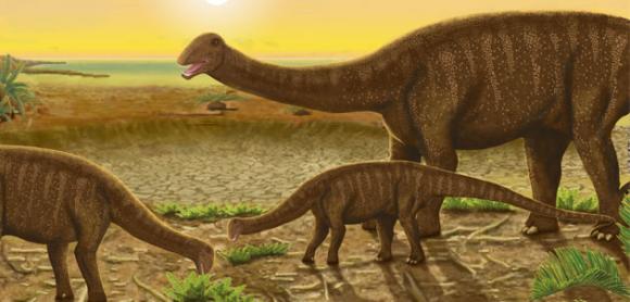 Paleontólogos argentinos hallaron nueva especie de dinosaurio saurópodo en Comahue