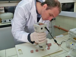 Científicos de la Universidad Nacional de La Plata , logran salchichas saludables