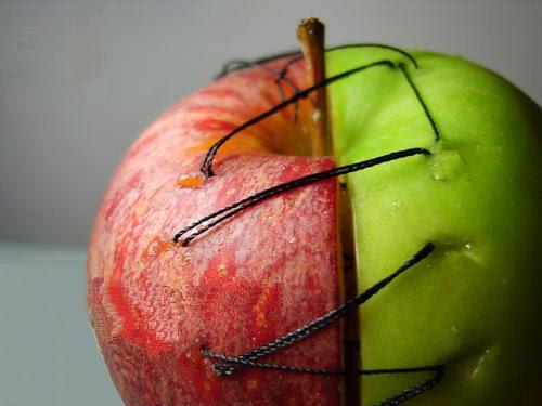 La empatía como virtud política