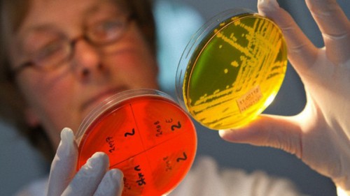 Descubren la implicación del genoma oscuro en el síndrome de Rett