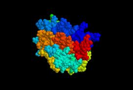 Científicos Argentinos desarrollan un método eficaz y económico para purificar la eritropoyetina, una hormona terapéutica