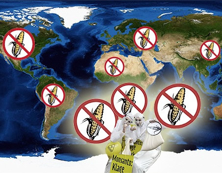 El grito internacional contra Monsanto se ´trasplanta´ a 36 países