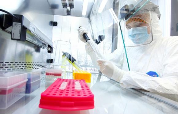 Peste Negra asiática redujo la población al declino del Imperio romano