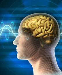 Impulsos eléctricos al cerebro amplifican el cálculo mental, confirma estudio de Oxford
