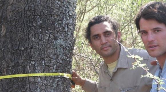 Investigadores Argentinos inventan un aparato para medir la inflamabilidad de las especies vegetales‏