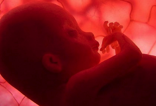 La ignorancia y la ideología: Las armas del lobby del aborto