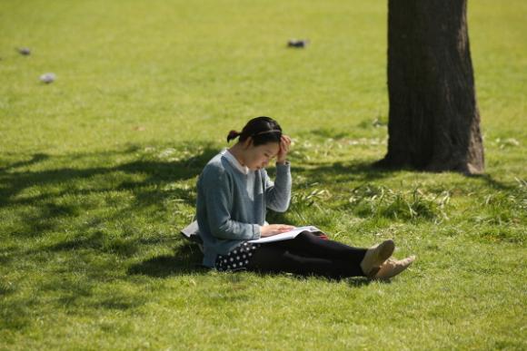 ¿Se estresa en el trabajo? Agregue una dosis diaria de contacto con la naturaleza