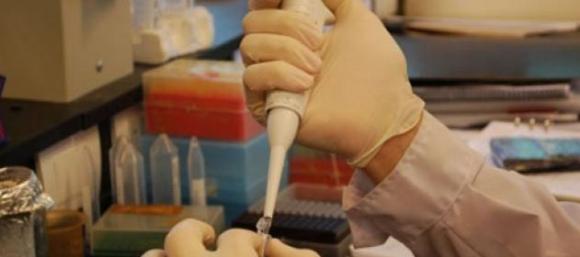 Científicos argentinos fabrican un ‘lector’ de ADN y proteínas