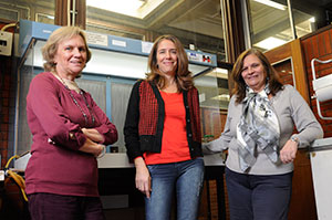 Científicos Argentinos logran inhibir la multiplicación de los virus responsables del dengue y la fiebre hemorrágica argentina