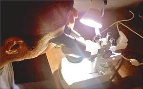 Investigadores Argentinos descubrieron una proteína que resiste a las sequías