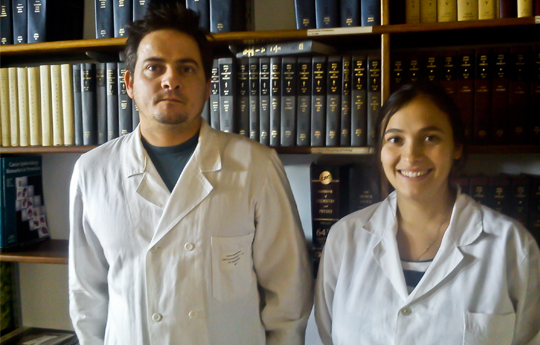 Investigadores Argentinos descubren nuevos mecanismos que promueven la plasticidad neuronal