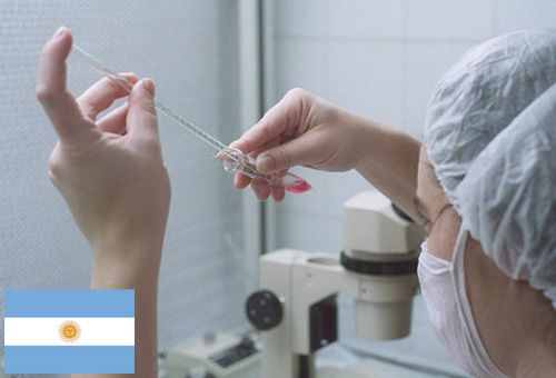 Fertilización asistida: otro paso en la demolición de la Familia