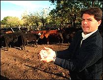 Veterinario Argentino‏ inventó un Dispositivo Intrauterino (DIU) diseñado especialmente para las vacas