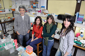 Científicos argentinos descubren que queda una marca en los núcleos de las neuronas en los recuerdos que perdurarán en el tiempo