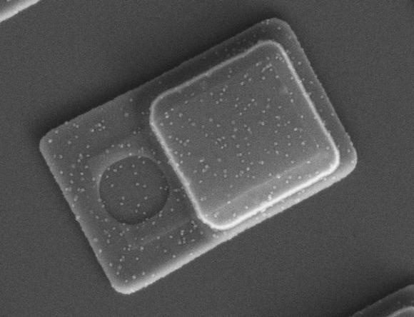 Nanotecnología: insertan microchips en células para medir la presión