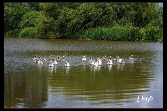 LOTES EN CLUB DE CAMPO CHACRAS DE LA CRUZ
