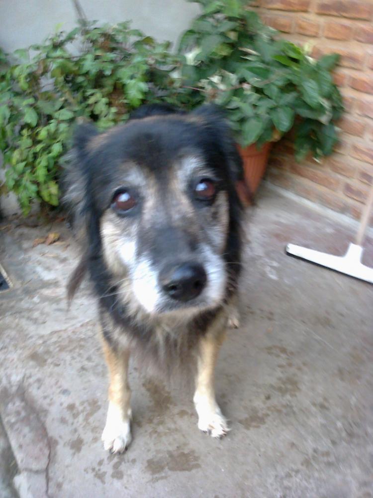 GUAPA volvio a vivir