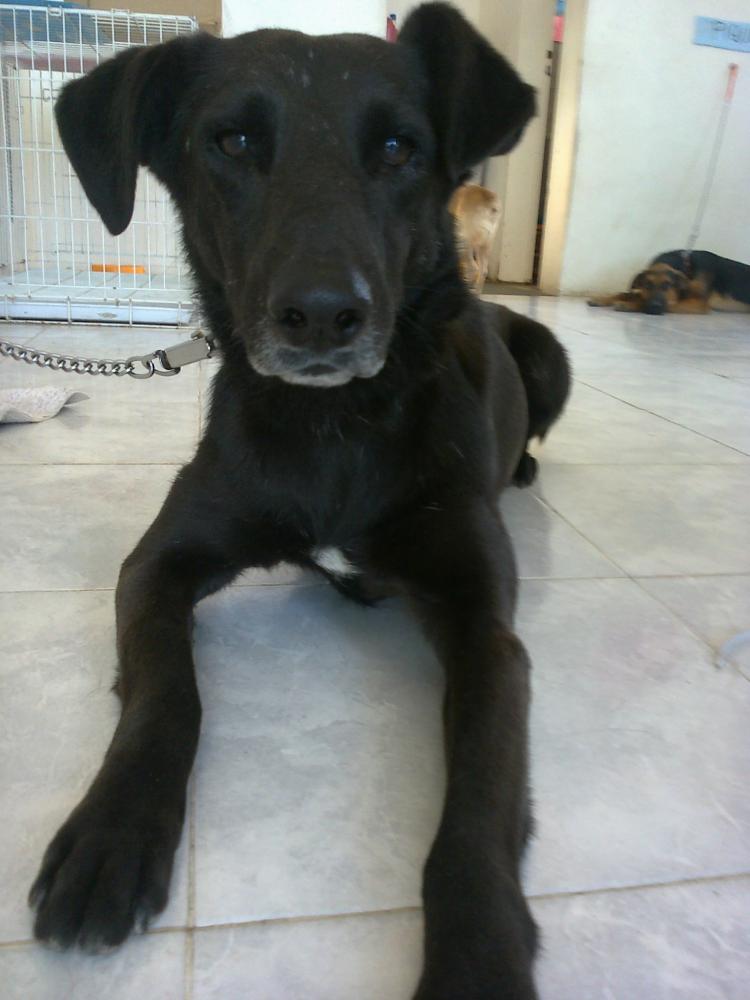 OLAF hace mucho que espera...