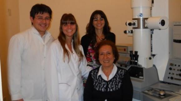 Cientificos Argentinos comprueban que la testosterona protege a la próstata