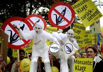 Adoptan medida de emergencia contra el maíz de Monsanto en Italia