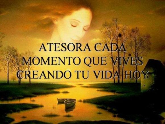 FRASE DIARIA