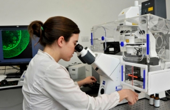 Investigadores argentinos logran avance ante infecciones oculares