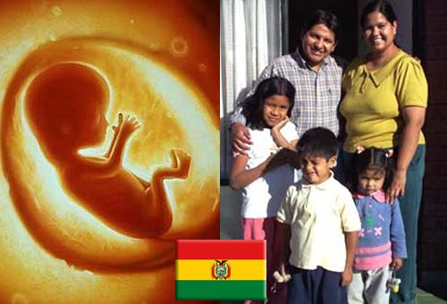 Bolivia: advierten sobre ofensiva contra el matrimonio y la vida desde la concepción 