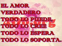 FRASE  DIARIA