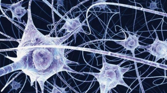 Investigadores Argentinos logran una alternativa contra enfermedades neurodegenerativas