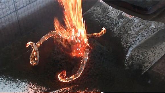 Reacciones Químicas