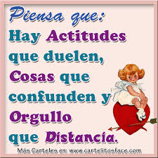 FRASE  DIARIA