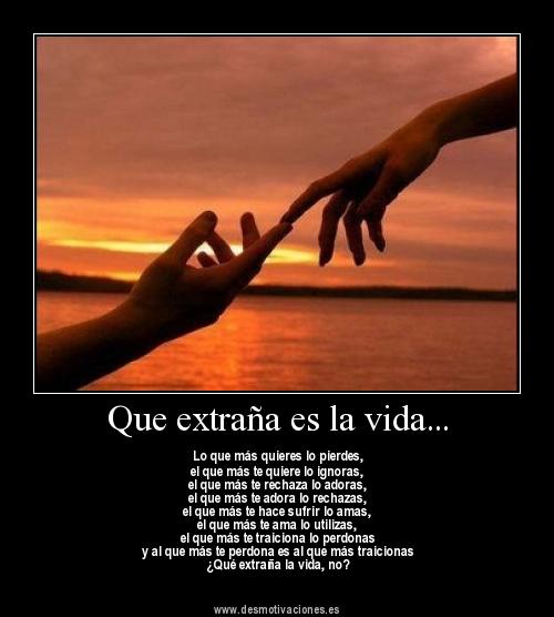 FRASE  DIARIA