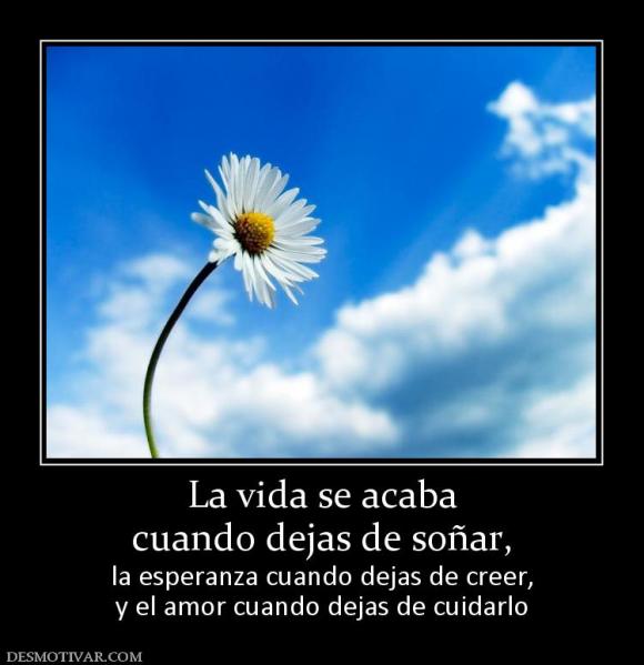 FRASE  DIARIA