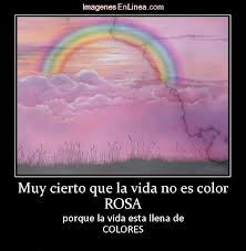 FRASE DIARIA