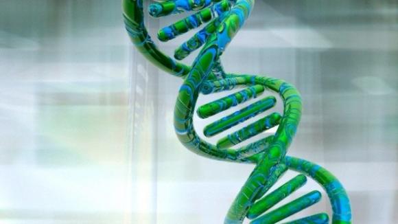 El ADN podría almacenar todo el conocimiento humano durante milenios