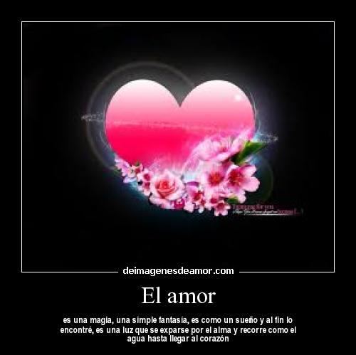 FRASE DIARIA