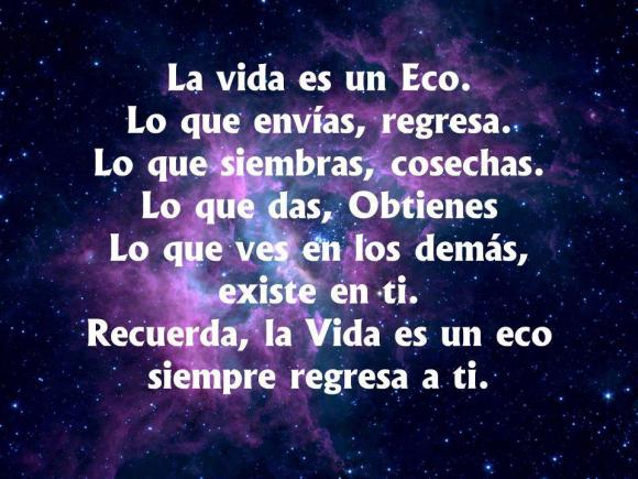 FRASE DIARIA
